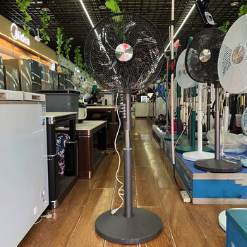 优菲特电风扇静音落地扇纯铜电机循环扇实体商场同款f1616 皓月白