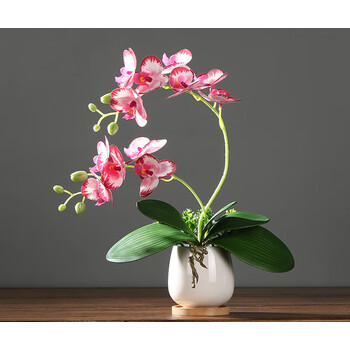 yanbei蝴蝶兰仿真花盆景假花客厅假花绢花盆栽装饰花中式仿真蝴蝶兰