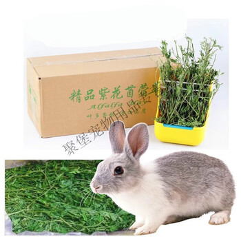 紫花苜蓿草烘干苜蓿草1kg 箱幼兔兔粮饲料牧草干草兔子龙猫荷兰猪1箱 1kg 苜蓿草 图片价格品牌报价 京东 紫花苜蓿草烘干苜蓿草1kg 箱幼兔兔粮饲料牧草干草兔子龙猫荷兰猪1箱 1kg 苜蓿草 图片价格品牌报价 京东