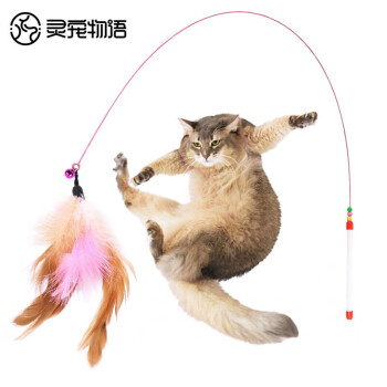 灵宠物语猫玩具：逗猫棒、磨牙玩耍棒价格走势分析