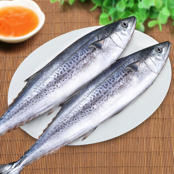 利妙财风大鲅鱼新鲜活鲐鲅鱼马鲛鱼大整条冷冻青花鱼马友鱼海鲜马交鱼