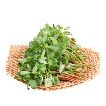 新边界 马齿苋 新鲜野菜 蚂蚁菜马蜂菜 2斤