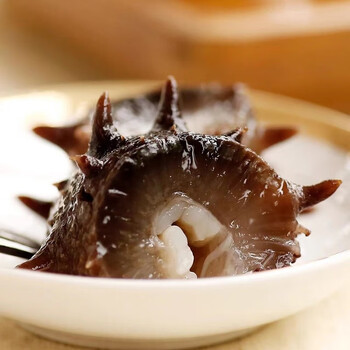 喵小萱即食海参长岛海参 鲜食温和滋补商务送礼送父母  500g（8-15只）