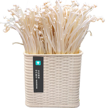 金针菇 方盒-米盒【图片 价格 品牌 报价】-京东