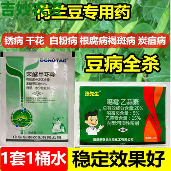 豆角专用药豆类专用剂豆病全治锈病干花白粉炭疽病剂批发豆病全治3套