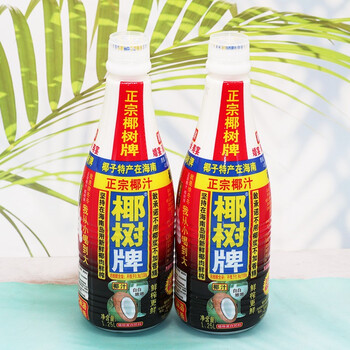 椰树牌椰汁 椰奶椰子汁饮料家庭聚餐饮品 大瓶装1.25l*6瓶整箱 1.25l 