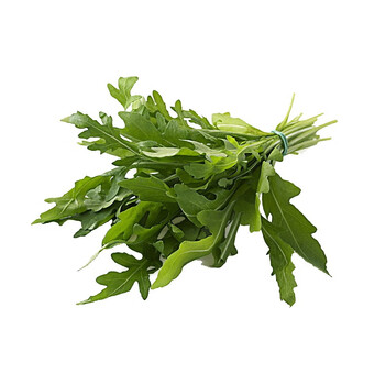 草帽公社新鲜芝麻菜250grocket火箭菜农家自种rucola蔬菜沙拉