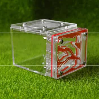 皇士皇妃蚂蚁宠物迷你儿童城堡保湿家园王馆窝施立体工坊巢家用亚克力