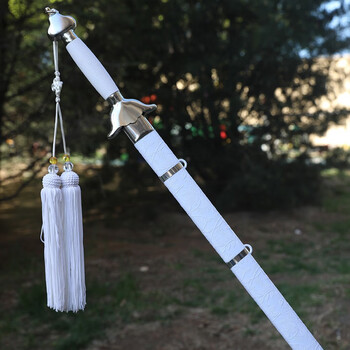 煌龙太极剑晨练剑 武术 软剑半硬剑表演剑 成人儿童 古装道具 未开刃