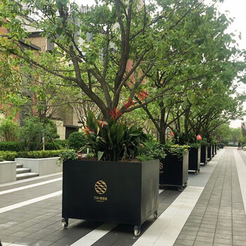 镀锌钢板户外树池花箱景观成品花池花槽304不锈钢花坛室外大树箱 更多