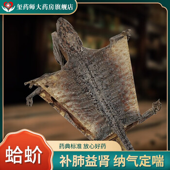 蛤蚧用户--评价:他们家这个货是真的非常好,头特别大,价格也相对实惠