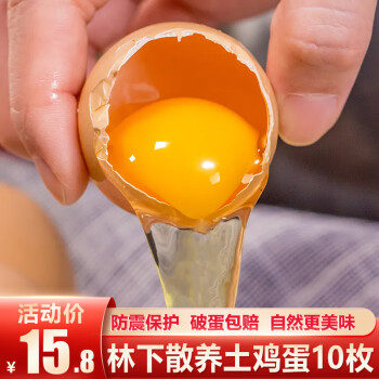 洪湖渔家 高品质土鸡蛋新鲜营养柴鸡蛋 土鸡蛋10枚 箱装