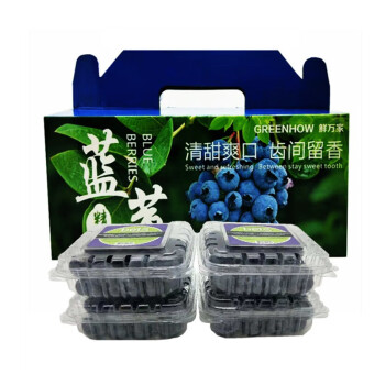 GREENHOW云南蓝莓鲜果新鲜水果蓝莓礼盒装大果整箱顺丰 2盒 蓝莓王
