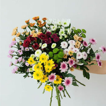 直百合向日葵花束同城速递家用室内插花水养混搭色小雏菊10枝不含花瓶