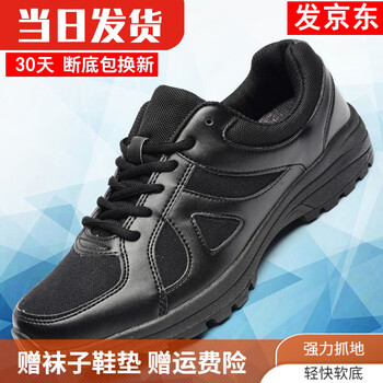 抢购必备！最新价格走势分析，仅限三天！