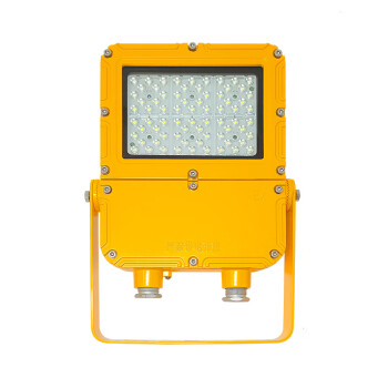 日昇之光（RECEN）RFBL162-G-50W LED防爆投（泛）光灯（货期10天）