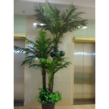 零度客润姿 零度花叶园 仿真椰子树盆栽植物商场大型道具树塑料摆件