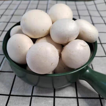 口蘑菇500g 现摘现发新鲜白蘑菇双孢菇新鲜口蘑时令蔬菜食用菌菇4斤 1