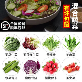 蔬菜沙拉蔬菜新鲜套餐健身即食轻食食材生吃沙拉蔬菜混合西餐顺丰【坏