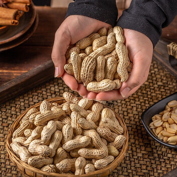 老灶煮 花生带壳五香咸干水煮花生晒干炒货休闲零食品小吃下酒菜 100G*5袋