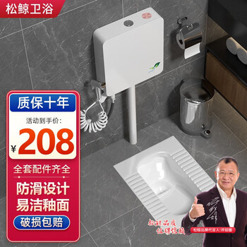 松鲸蹲便器冲水箱套装卫生间家用蹲坑防臭防堵厕所一体大便器智洁釉面 D带弯蹲便器套装+软管角阀喷枪