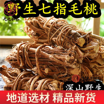 野生小叶七指毛桃根滋泡酒炖汤七子毛桃七指毛桃根七爪龙250克七指