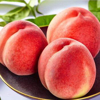 季季甜河北水蜜桃王新鲜水密桃子超大单果桃子水果新鲜脆甜仙桃整装彩