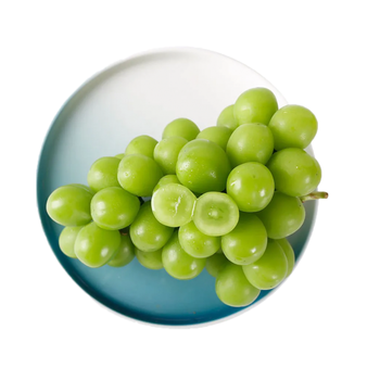 晴王葡萄阳光玫瑰 青提 新鲜水果 引进日本品种 节日水果礼盒 自产