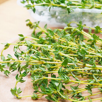 新鲜百里香 食用煎牛排用 可食用烧烤香料菜调料调味装饰西餐食材 200