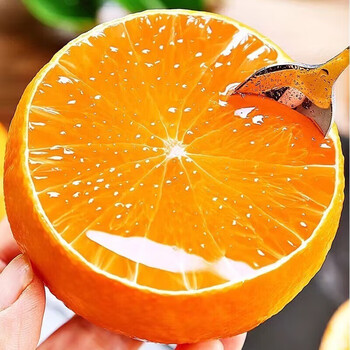 壹棵弘芯四川爱媛38号果冻橙柑橘子中秋节新鲜水果礼盒精选5斤大果装