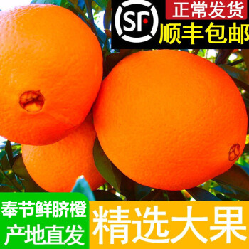 顺丰直达 正宗重庆奉节鲜脐橙福本纽荷尔橙子新鲜现摘当季水果整箱 80mm（含）-85mm(不含) 9斤