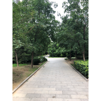 润枫欣尚中心4号楼802