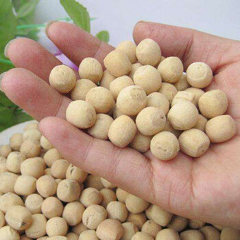 正宗东寨老赵面豆手工土炒馍陕州面豆棋豆河南三门峡特产小吃零食