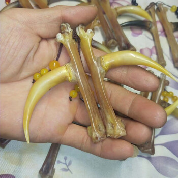 2022新品鸡爪骨手把件 文玩把件鸡爪骨手把件鸡蹬骨子鸡爪骨把件老鸡