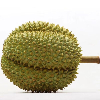 皓谦泰国甲仑榴莲新鲜巴掌榴莲现货23年新果甲仑当季水果 榴莲4-6房