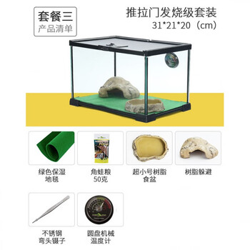 角蛙饲养箱造景套装绿角黄金蝴蝶钟角非牛小丑霸王爬宠爬虫饲养盒套餐三 图片价格品牌报价 京东