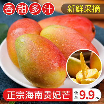 海南贵妃芒果 新鲜水果 应季热带水果 红金龙甜心芒 带箱9斤小果（50-100g）