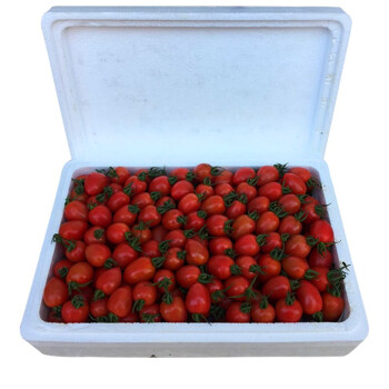 千禧圣女果水果新鲜小柿子小番茄5斤整箱顺丰