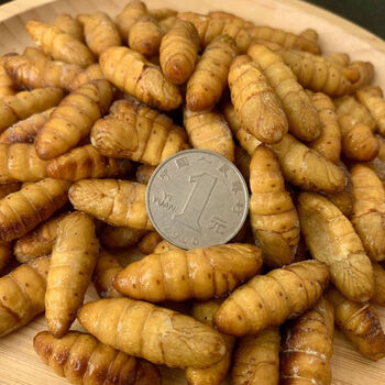 玉笥堂2022年新鲜蚕蛹金丝蛹活体速冻桑蚕蛹黄金蛹金蝉蛹2斤装料包