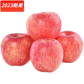 立始山东烟台红富士大果礼盒新鲜脆甜苹果节日礼品水果礼盒 5斤普通装(净重4.5斤,约10-12个)