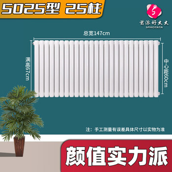 首派好太太暖气片家用钢二柱5025水暖钢制散热器客厅卧室供暖壁挂式