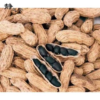花生带壳干花生原味生吃可做种子新品种当季 云南富硒黑花生2斤【熟】