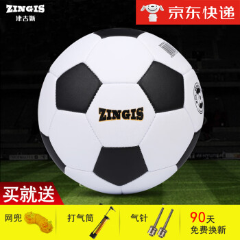 津吉斯ZINGIS 中考专用足球 学生足球  4号5号足球 耐磨 耐踢 标准5号F501+赠品