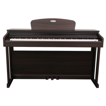 电钢琴什么牌子好（电钢琴新手如何选择）