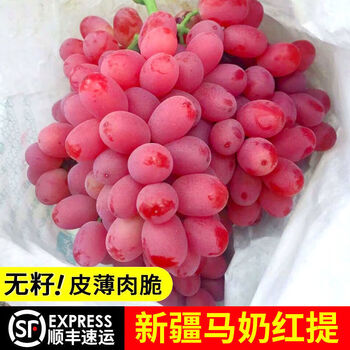 现摘红提无仔克伦生葡萄新鲜应季水果红提子马奶提脆甜孕妇水果 精选