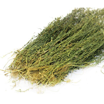 田基黄中药材 中草药材田基王黄花草干货 地耳草新晒农家 精选250克