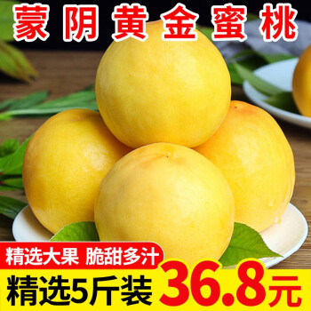 曙光 蒙阴新鲜黄桃水果5斤装黄金蜜桃当季时令 桃子新鲜水果蜜桃子 黄