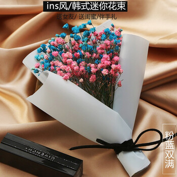 满天星花束教师节康乃馨小花束勿忘我干花生日礼物送女友送闺蜜送员工花束伴手礼粉 蓝满 提袋 贺卡 厘米 图片价格品牌报价 京东 满天星花束教师节康乃馨小花束勿忘我干花生日礼物送女友送闺蜜送员工花束伴手礼粉 蓝满 提袋 贺卡 厘米 图片价格品牌报价 京东