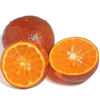 正宗广西乌柑黑皮应季新鲜水果丑橘批发人工精选精选大果5斤