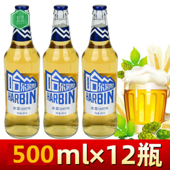 哈尔滨冰萃500ml12瓶哈尔滨啤酒冰萃玻璃瓶装整箱哈啤冰萃瓶装拉环拉